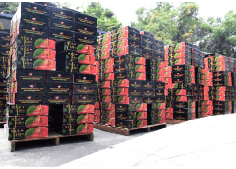 公司連續(xù)7年采購蘋果福利，助力鄉(xiāng)村經(jīng)濟(jì)與教育建設(shè)